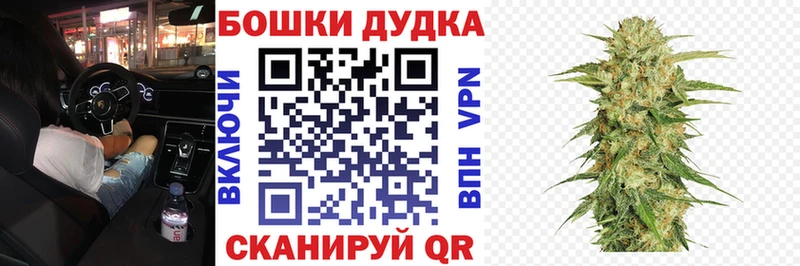 MEGA ссылки Жиздра Бошки марихуана конопля что такое